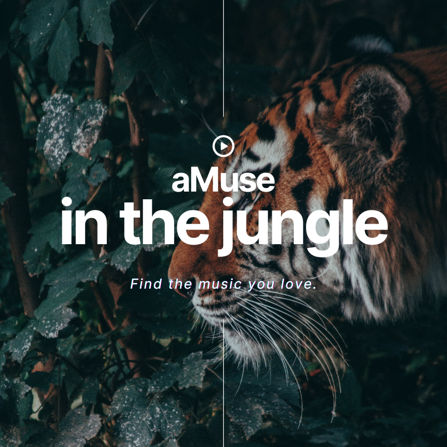 in the jungle